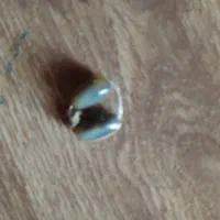 مهره برداصل اصل به شرط