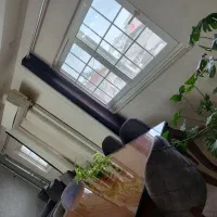 واحد مستقل بر اصلی رزمندگان(مالک)|فروش آپارتمان|لاهیجان, کوی زمانی|دیوار