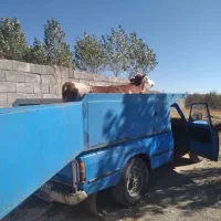 گاو سیمنتال|حیوانات مزرعه|مهربان, |دیوار