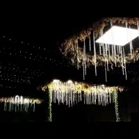 تشریفات مجالس امیر ازدواج خیلی خیلی آسان|خدمات پذیرایی، مراسم|شیراز, دوکوهک|دیوار