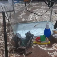 آکواریوم بزرگ درحد نو|ماهی|قروه, |دیوار