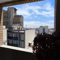115-متر-خیابان-کاج