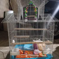 قفس و وسایل پرنده