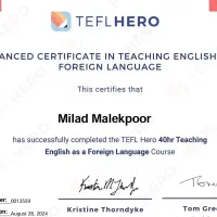 تدریس آنلاین زبان انگلیسی توسط اساتید مجرب