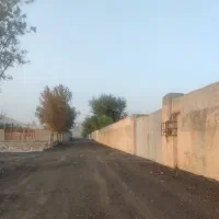 فروش زمین چهاردیواری گلخانه|فروش دفتر صنعتی، کشاورزی، تجاری|ری, امین آباد|دیوار