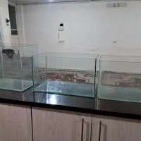 سلام آکواریم شرکتی سالم