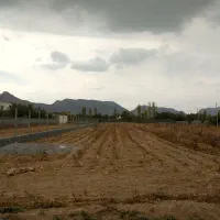 زمین-کشاورزی