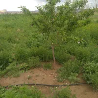 فروش‌گاوداری