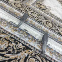 عروس هلندی|پرنده|مشهد, شهید شهریاری|دیوار