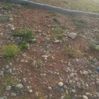 فروش-زمین-مسکونی-سند-تک-برگ