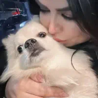 تدی|سگ|سهند, |دیوار