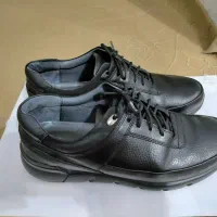 کفش شماره۴۵