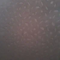 دو قواره چادر زنانه