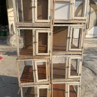 قفس کبوتری|لوازم جانبی حیوانات|برازجان, |دیوار