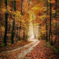 ۲ عدد ایرانسل پشت سره هم