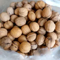 گردوهای پوست کاغذی و خوشمزه کردستان