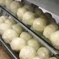 کره گاوی و گوسفندی خالص
