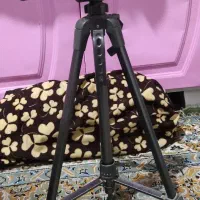 نیکون حرفه ای نو|دوربین عکاسی و فیلمبرداری|شیراز, قلعه شاهزاده بیگم|دیوار