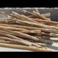 خرید انواع چوب خشک، تیر سقفی و درخت تر