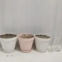 گلدان بزرگ، سرامیکی، پلاستیکی کوچک