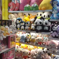 اسباب بازی ولنتاین عروسک لوازم تحریر|اسباب‌‌بازی|مشهد, امامیه (شهرک غرب)|دیوار