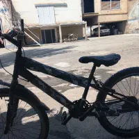 دوچرخه ویوا 24 تنه بزرگ