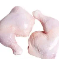 فروش قطعات مرغ گرم جزئی و تناژی