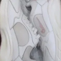 کفش نایک زنانه|کیف، کفش، کمربند|بیرجند, |دیوار