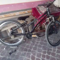 دوچرخه حرفه‌ای