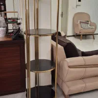 استند کنار سالنی