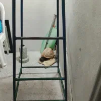 چهارپایه آهنی