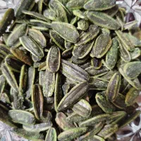 فروش تخمه|عمده‌فروشی|قروه, |دیوار