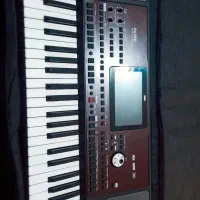 ارگ pa700