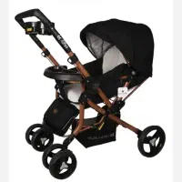 کالسکه دلیجان