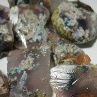 شجر هفت رنگ خاص|بدلیجات|فردوس (خراسان), |دیوار