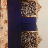 یک دست شانشین در حد نو