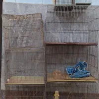 قفس پرنده