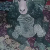 عروسک میمون جذاب|اسباب‌‌بازی|مراغه, |دیوار