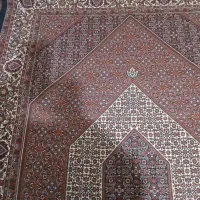 فرش 6متری دستبافت مرینوس|فرش|ایجرود, |دیوار