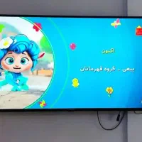 تلویزیون ۴۹ اینچ ایکس ویژن