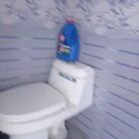 لوله وتاسیسات