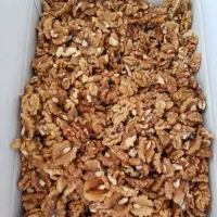 مغز گردو زیر قیمت