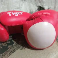 دستکش بوکس|تجهیزات ورزشی|تهران, ازگل|دیوار