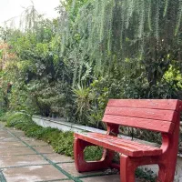 اجراره باغ استخر آب گرم|اجارهٔ کوتاه‌مدت ویلا و باغ|بهبهان, |دیوار