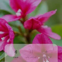 خط ایرانسل دائمی
