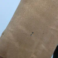 کاپشن بوفالو اصل|لباس|تهران, جوادیه|دیوار