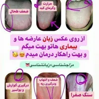 مشاور شو