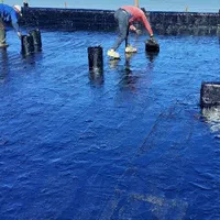 نصب ایزوگام قیرگونی آسفالت حتی1متر تمام نقاط تهران|خدمات پیشه و مهارت|تهران, استاد معین|دیوار