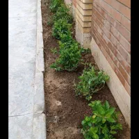 باغبانی، پابیل ، حرس درختان، پاکسازی باغچه،