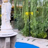 به یک تختکار و جگر زن حرفه‌ای،  جهت جگر سرا